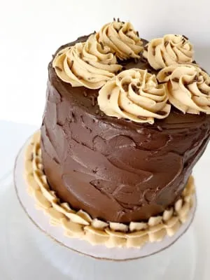 Chocolate cake with icing swirls